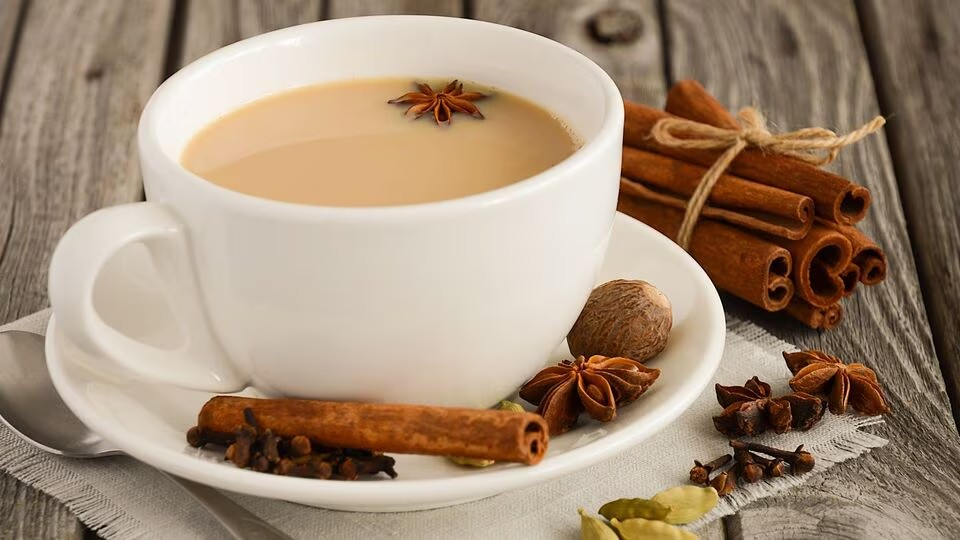 3016 EVEREST Tea Masala 100gティーマサラ – インディアアットホーム