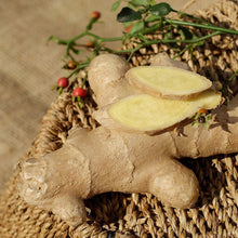 画像をギャラリービューアに読み込む, 4800TULSI GINGER TEA TIN 100G【ORGANIC INDIA】<br>トゥルシー ジンジャー ティー缶100g オーガニックインディア<br>